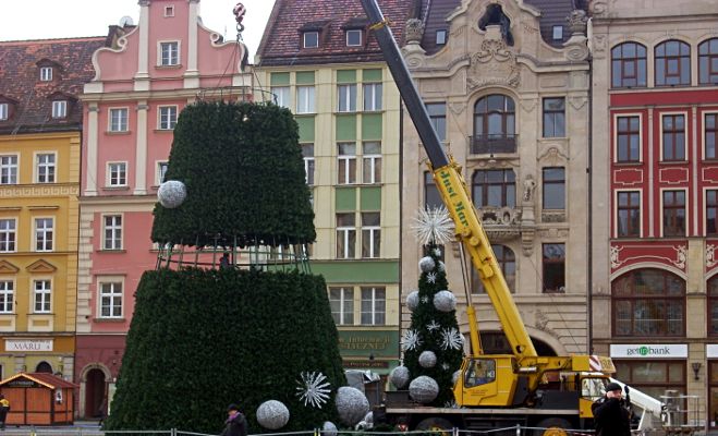Installation of a Christmas tree in the Market Square in Wrocław